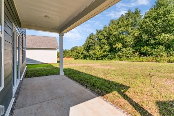 a view of a yard with potted plants