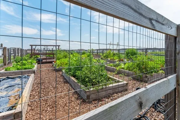 a view of a backyard with plants