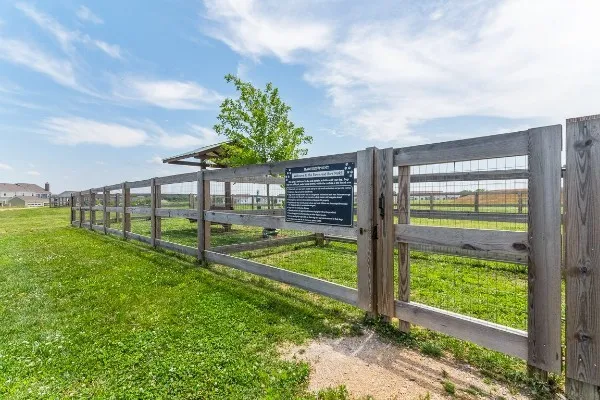 a view of a back yard