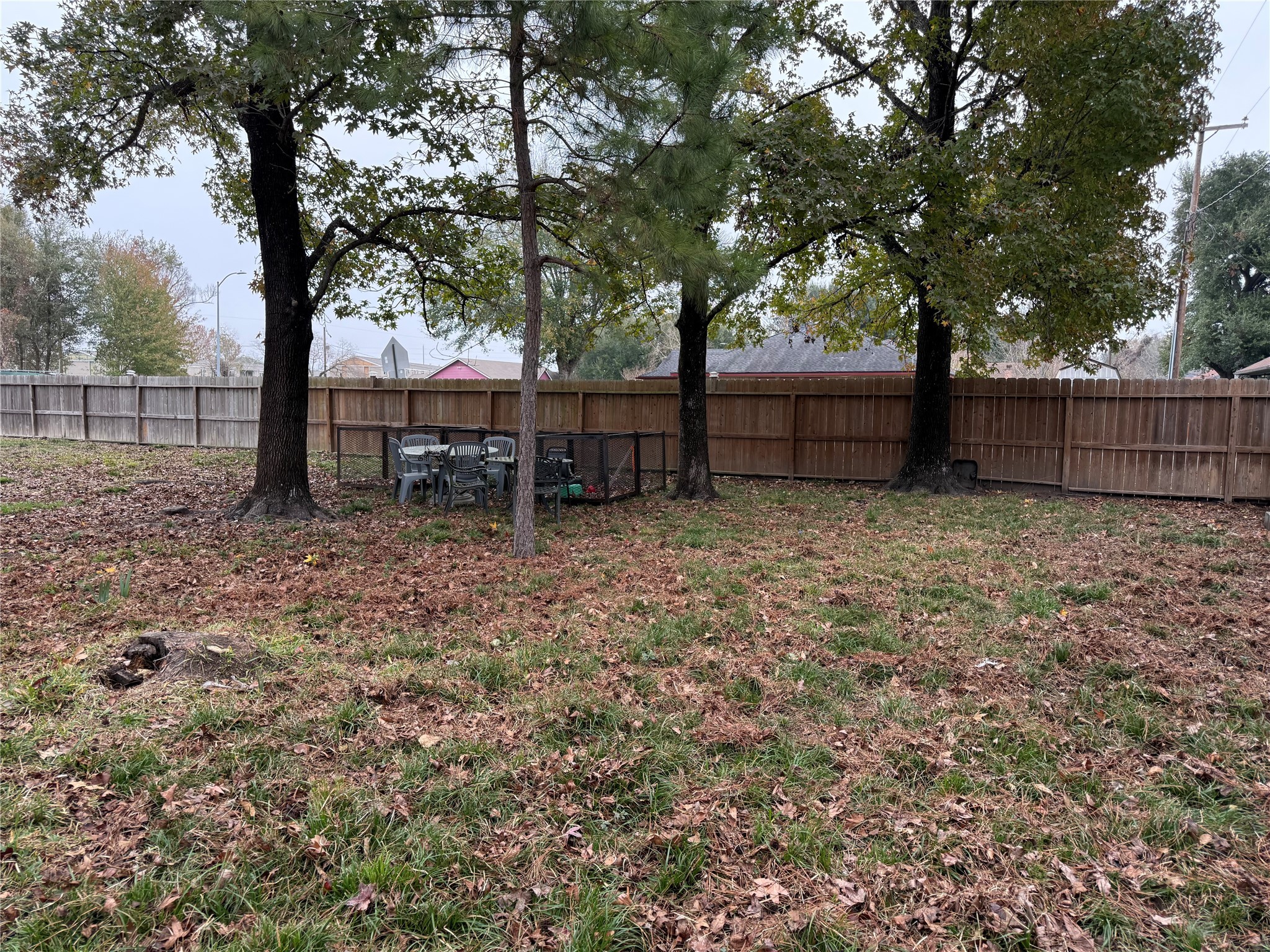 3003 Vega Houston, TX 77088 - Photo 3 of 13 a view of a backyard with trees