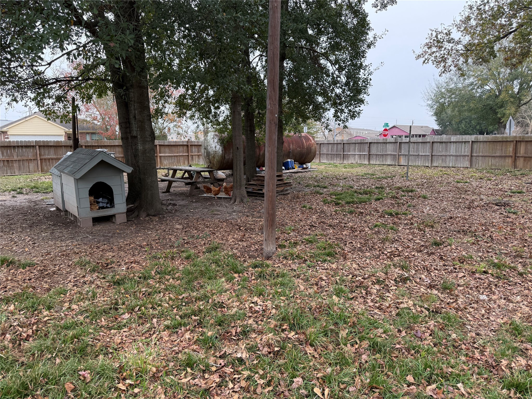 3003 Vega Houston, TX 77088 - Photo 8 of 13 a view of backyard with tree and deck