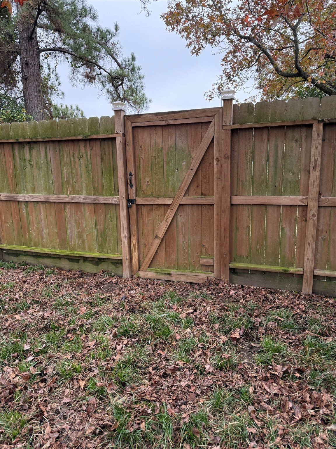 3003 Vega Houston, TX 77088 - Photo 9 of 13 a view of backyard with green space