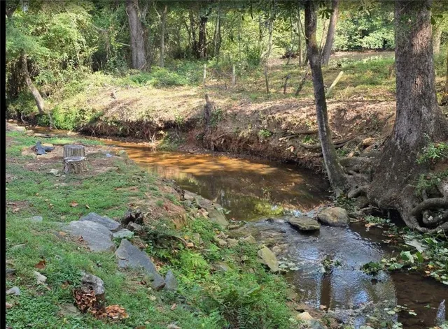 a view of a yard with large trees