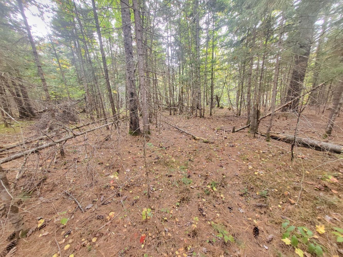 20240923_161728_resized_result