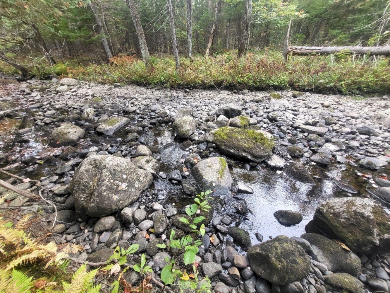R8-l4-6 Shingle Mill Road New Vineyard, ME 04956 - Photo 2 of 11 20240923_161625_resized_result