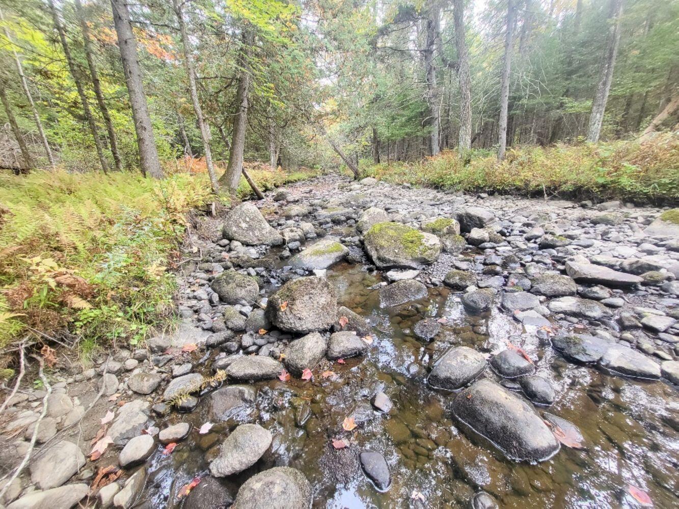 R8-l4-6 Shingle Mill Road New Vineyard, ME 04956 - Photo 3 of 11 20240923_161604_resized_result