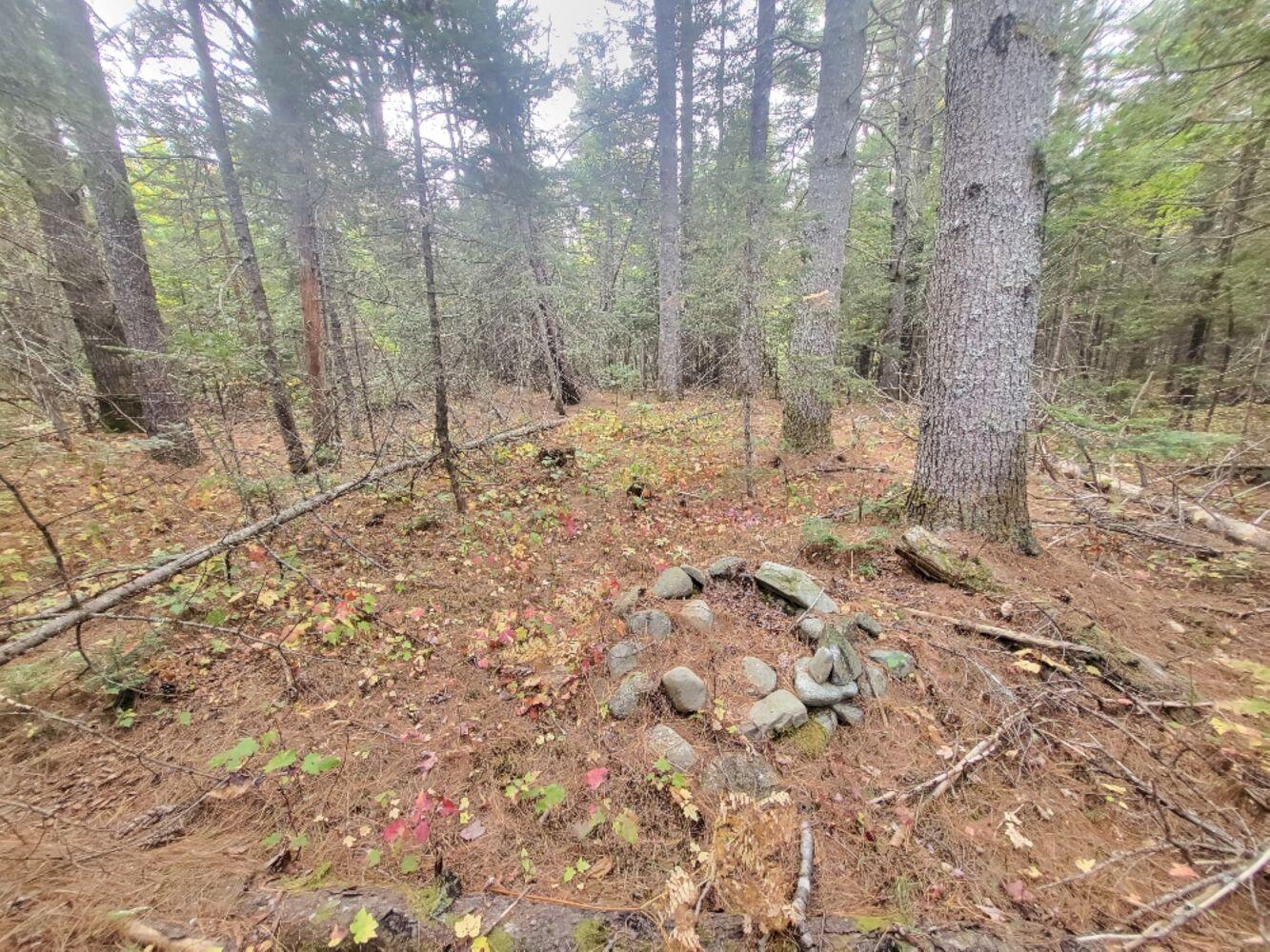 R8-l4-6 Shingle Mill Road New Vineyard, ME 04956 - Photo 7 of 11 20240923_161809_resized_result