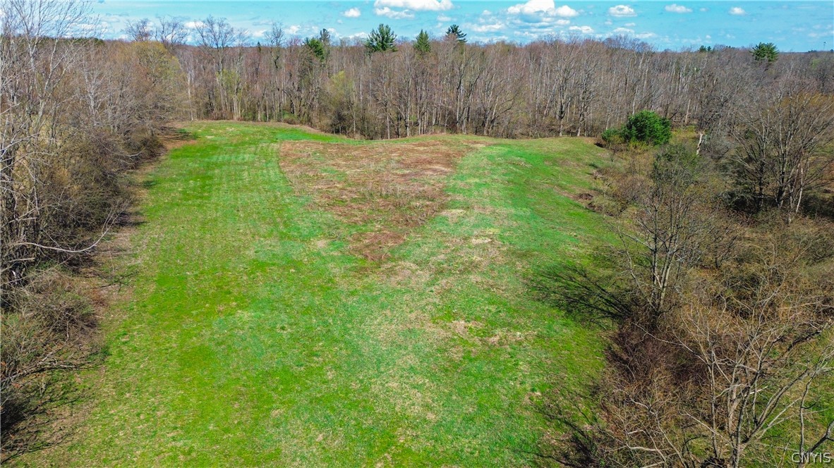 0 Lake Road Hamilton, NY 13346 - Photo 17 of 21