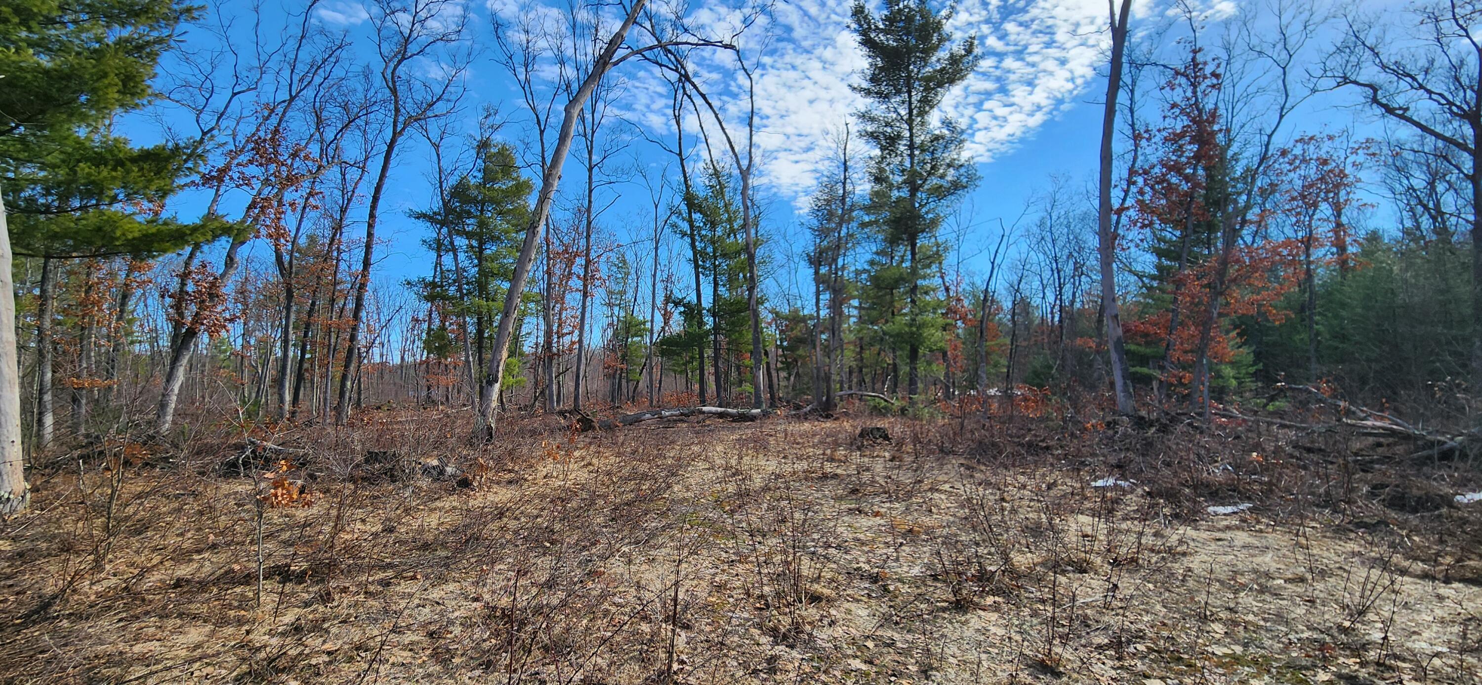 7746 North Woodbridge Road Brohman, MI 49312 - Photo 18 of 41 10 acres
