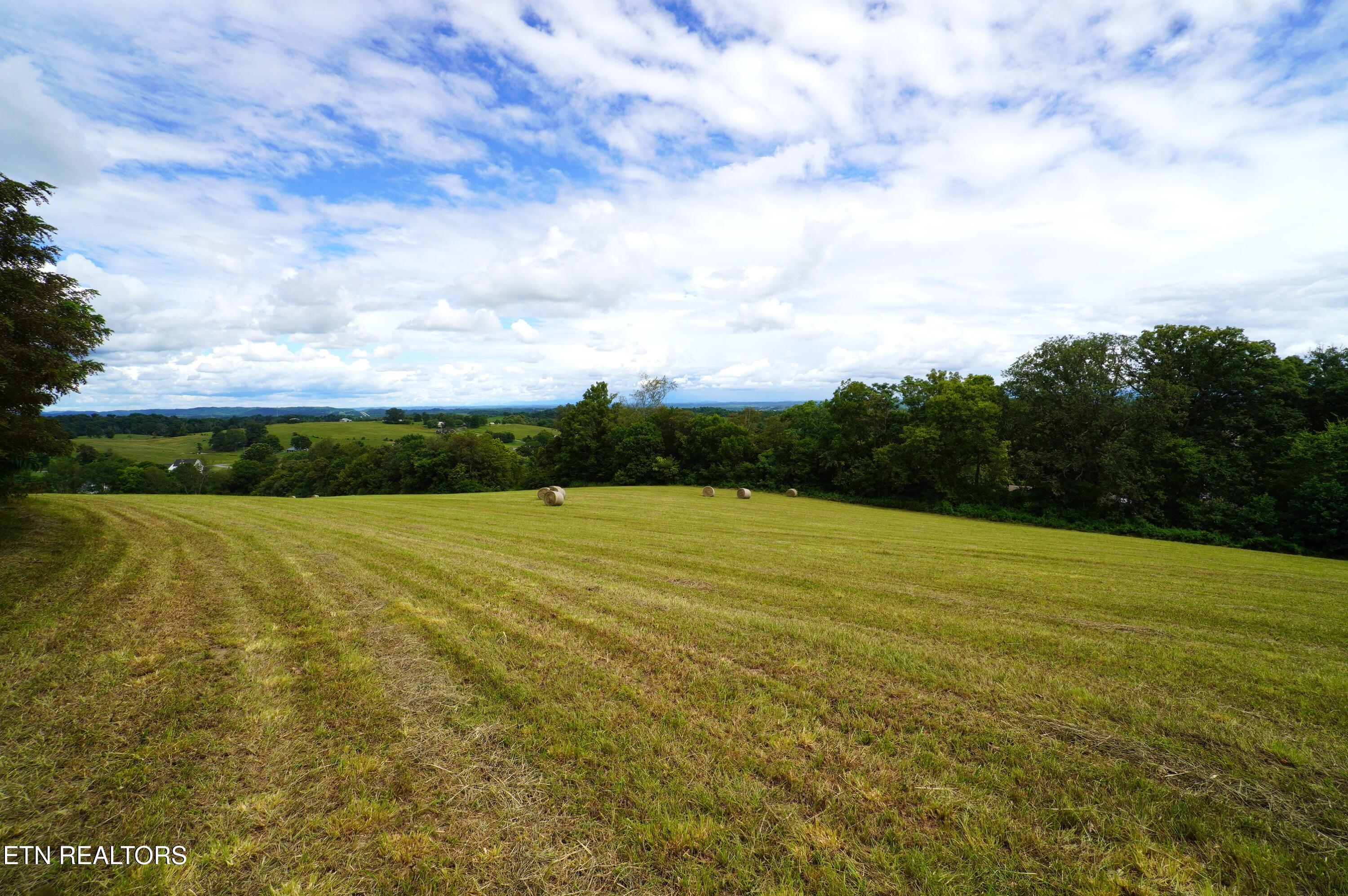 2840-2830 Robinson Crk Road Morristown, TN 37813 - Photo 14 of 60 DSC07409