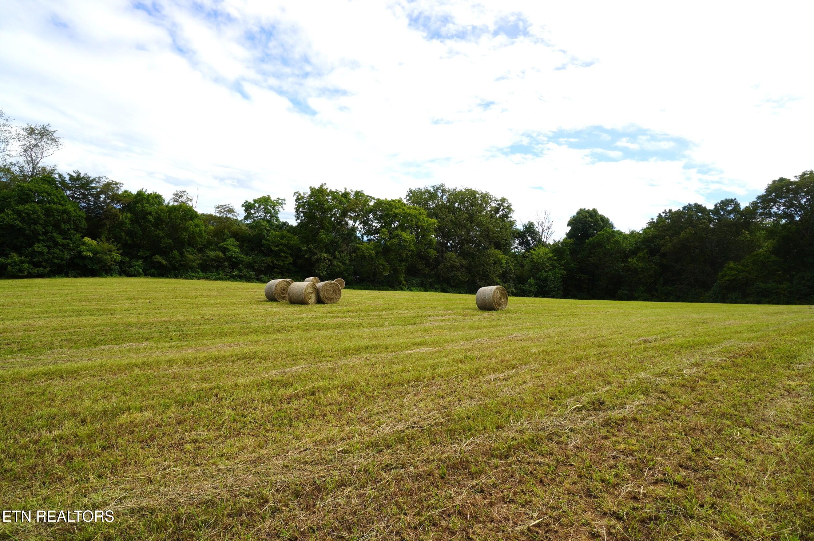 2840-2830 Robinson Crk Road Morristown, TN 37813 - Photo 16 of 60 DSC07413