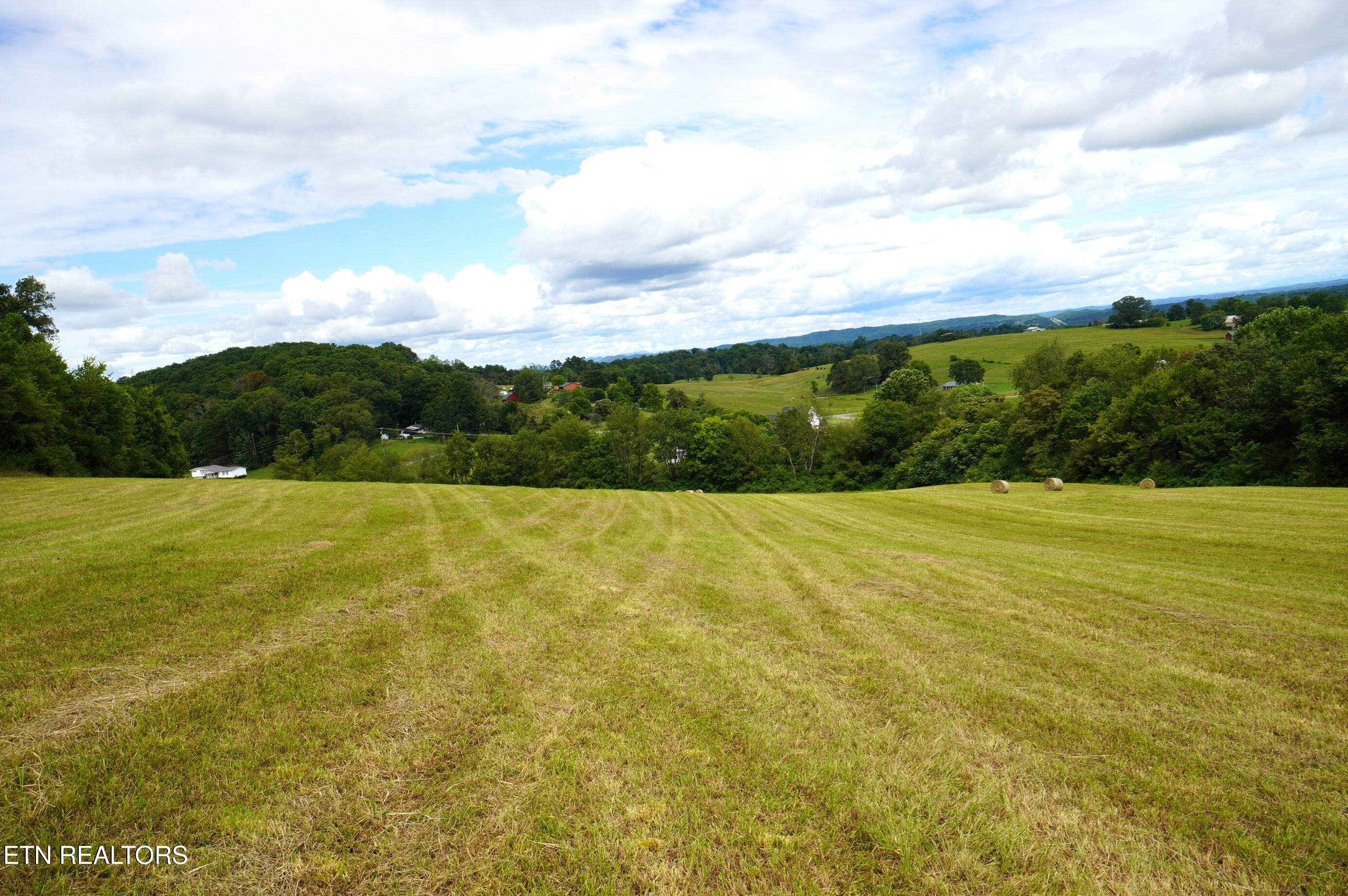 2840-2830 Robinson Crk Road Morristown, TN 37813 - Photo 17 of 60 DSC07414