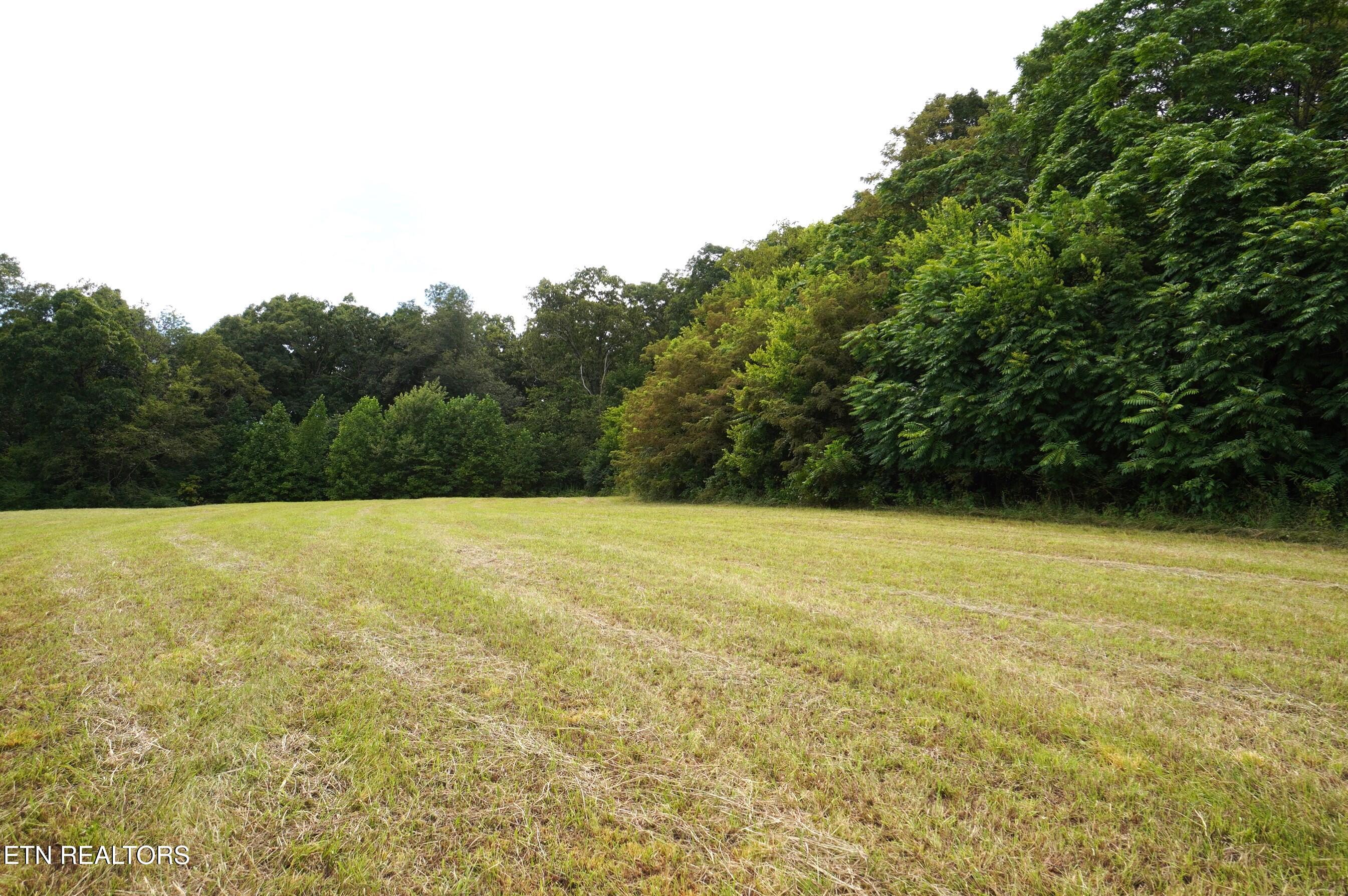 2840-2830 Robinson Crk Road Morristown, TN 37813 - Photo 18 of 60 DSC07415