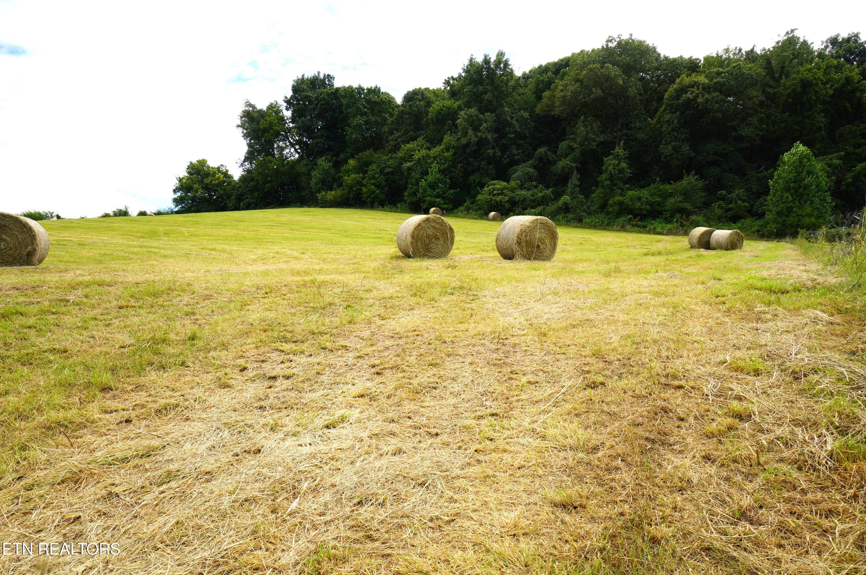 2840-2830 Robinson Crk Road Morristown, TN 37813 - Photo 24 of 60 DSC07422