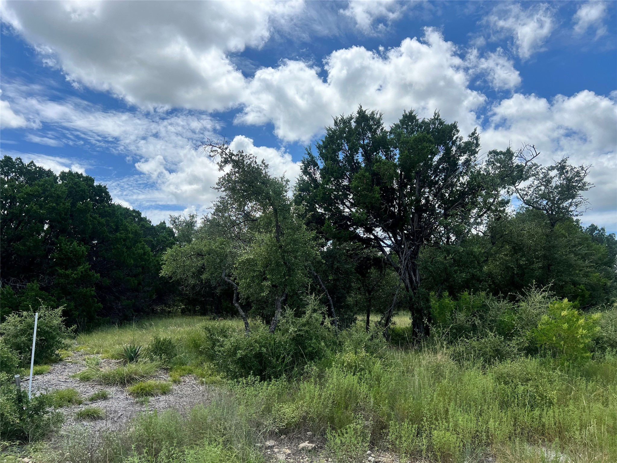 2452 Stone Creek Ranch Drive Evant, TX 76525 - Photo 16 of 19 left corner lot boundary
