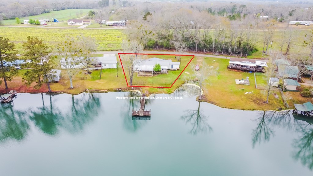 322 Windsor Lake Road Chancellor, AL 36316 - Photo 3 of 14