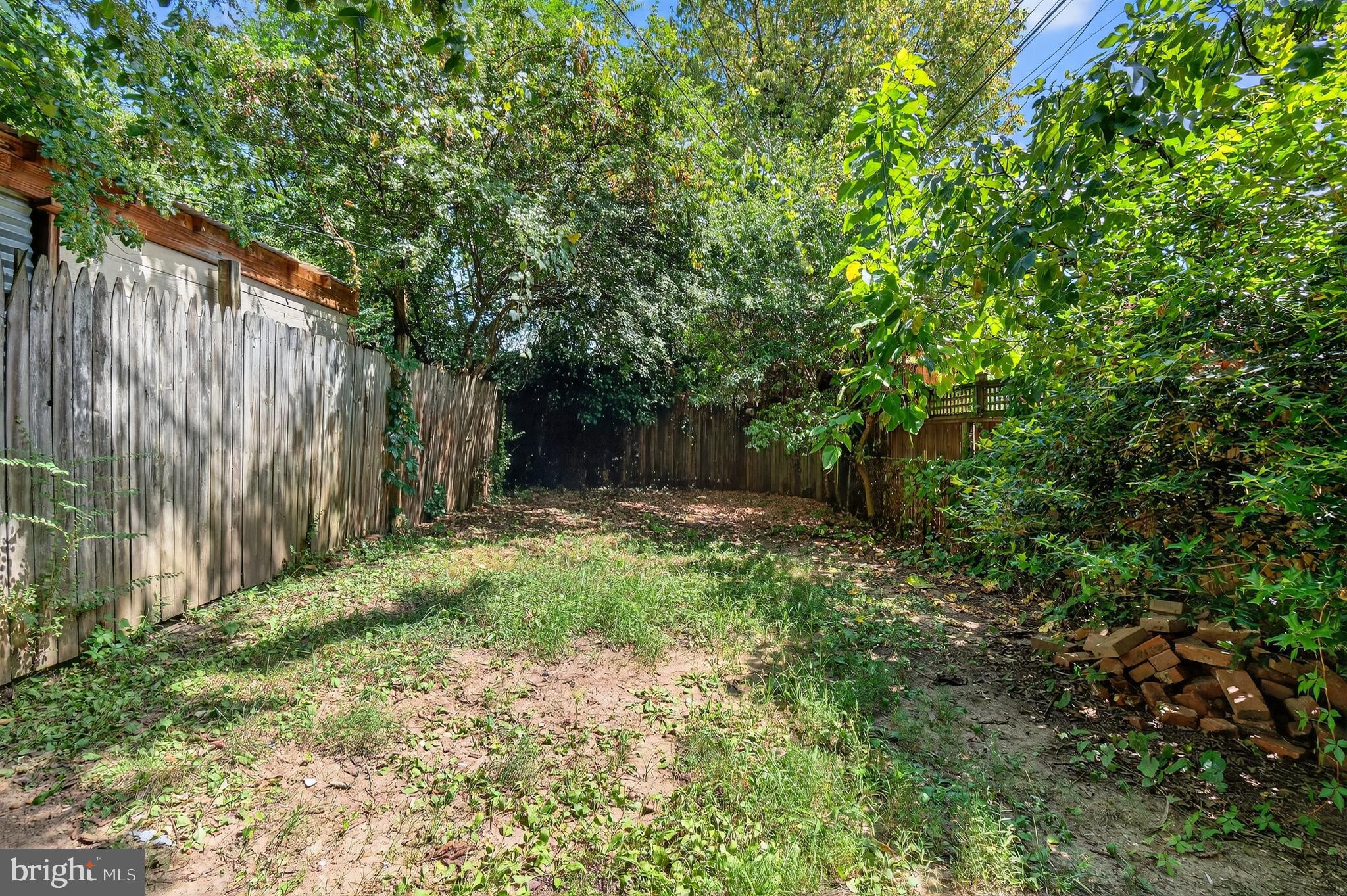 3523 Warder Street Northwest Washington, DC 20010 - Photo 29 of 30 a view of backyard with tree