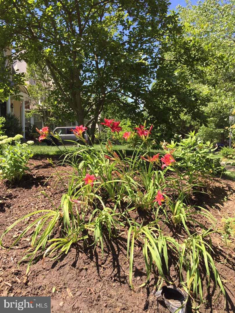 3504 Newland Road Baltimore, MD 21218 - Photo 29 of 34 Flower Bed