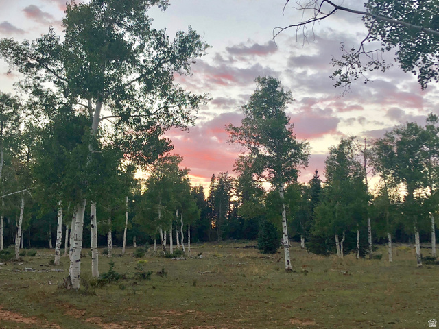 North Fork Road South Duck Creek Village, UT 84762 - Photo 11 of 17 View of nature at dusk