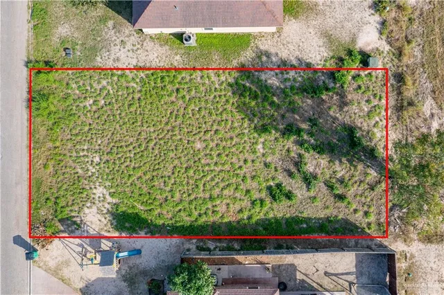 a view of a yard with flower plants