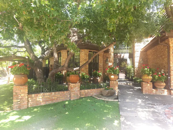 a view of a park with tree s