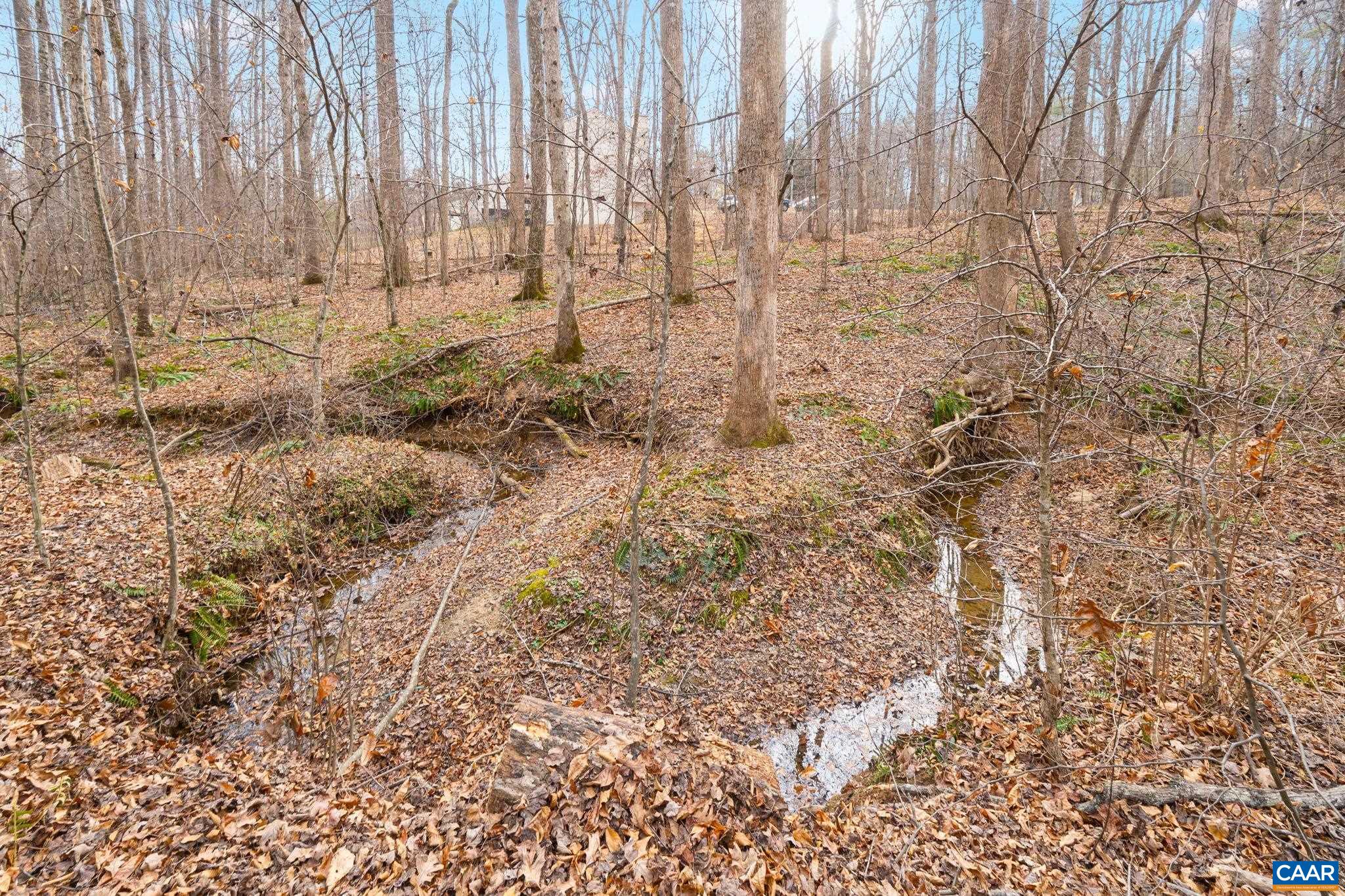 473 Larkspur Road Ruckersville, VA 22968 - Photo 27 of 28 a view of a yard with trees