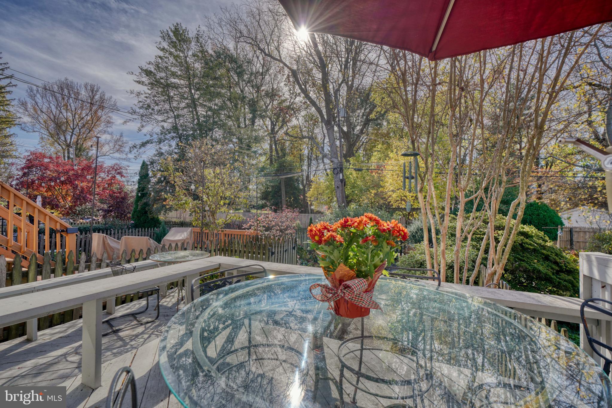 217 Gaywood Road Baltimore, MD 21212 - Photo 53 of 69