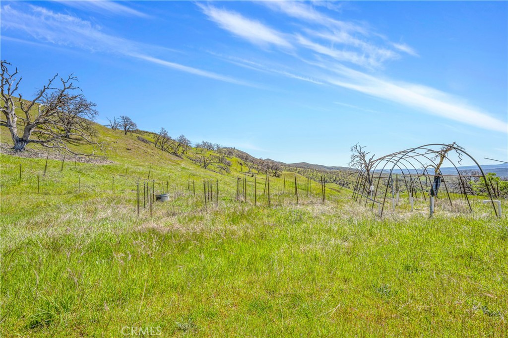9250 Sky High Ridge Road Lower Lake, CA 95457 - Photo 13 of 23