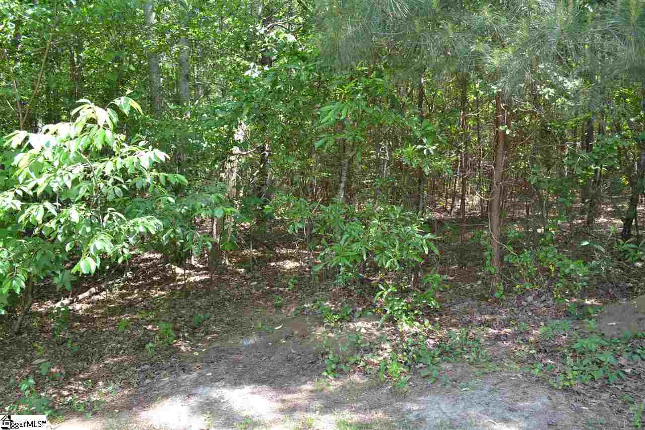 180 Sneeds Drive Inman, SC 29349 - Photo 19 of 22