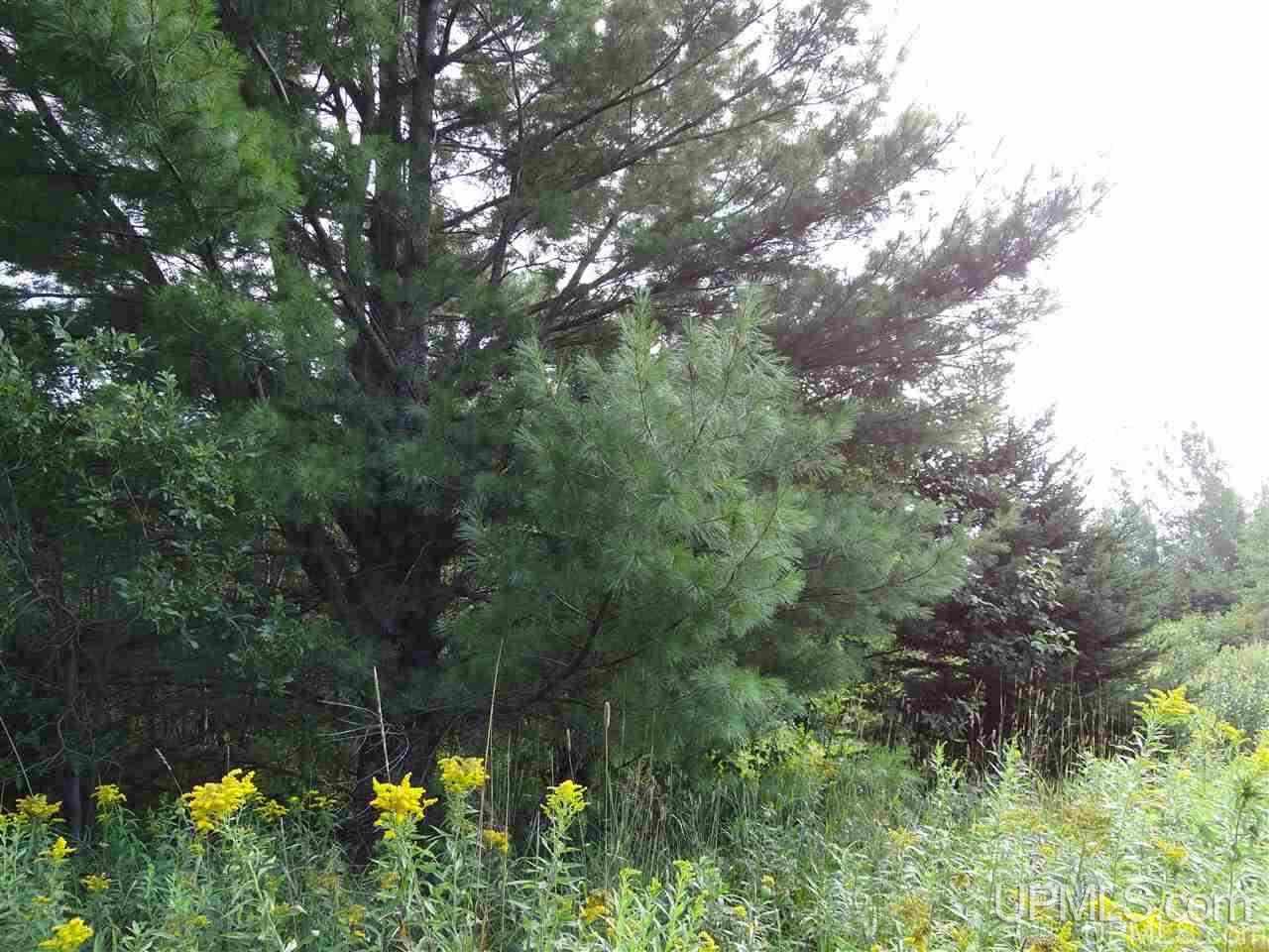 Tbd Off Denton Road Chassell, MI 49931 - Photo 13 of 19