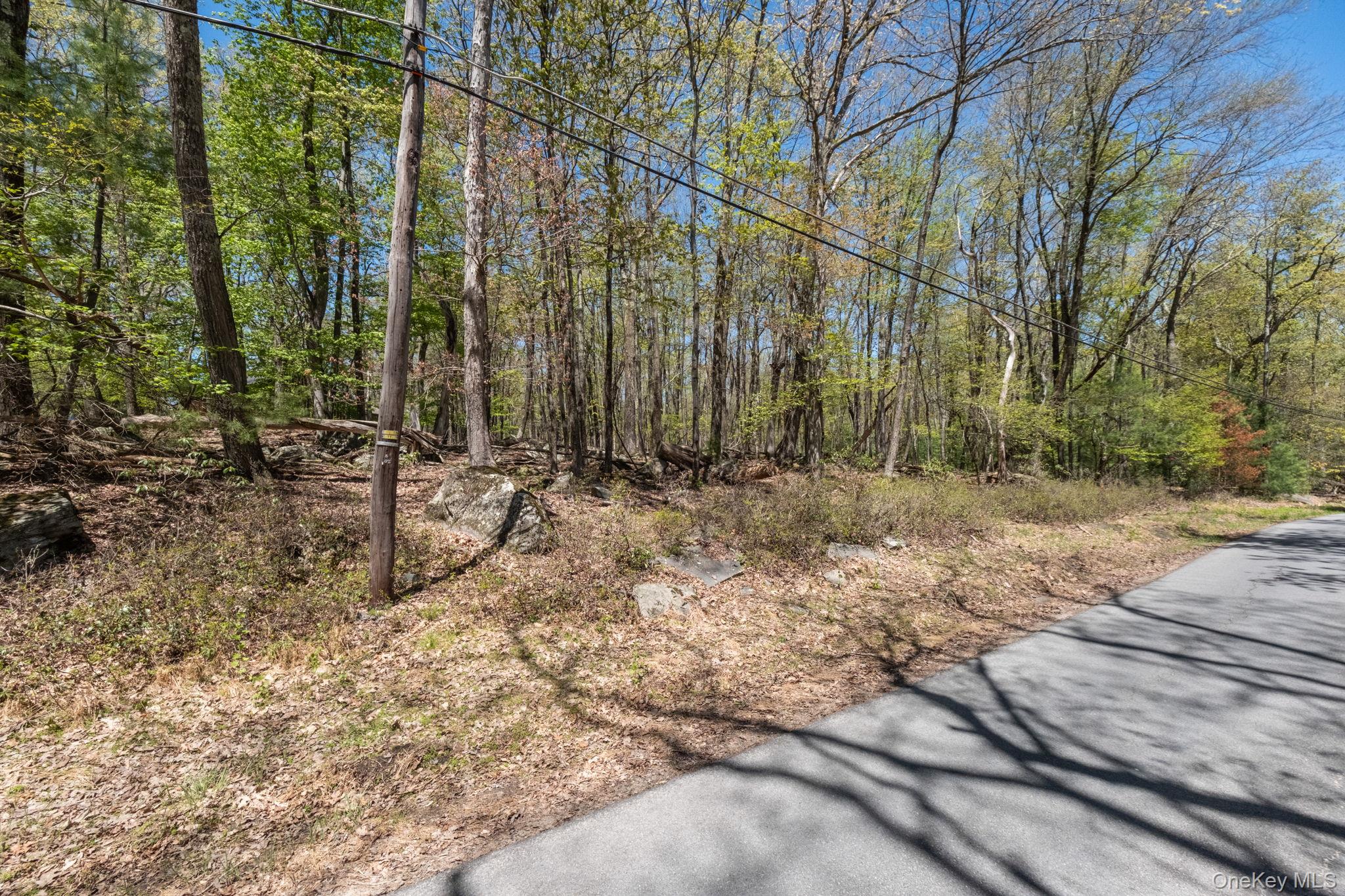 Wolf Pond Road Wurtsboro, NY 12790 - Photo 7 of 13