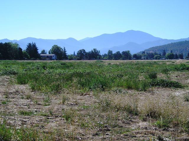 0 Houston Road Medford, OR 97501 - Photo 5 of 11 Additional Photo