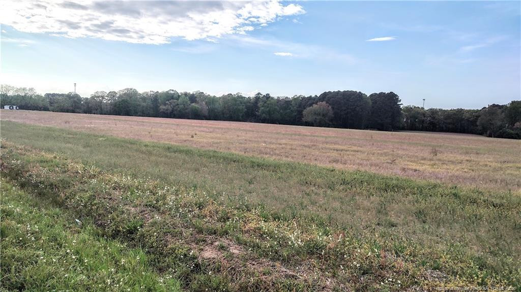 0 Tramway Road Sanford, NC 27330 - Photo 4 of 13