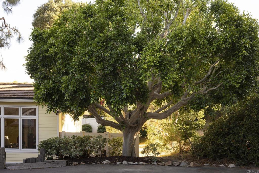 594 Rancho Santa Fe Road Encinitas, CA 92024 - Photo 6 of 47