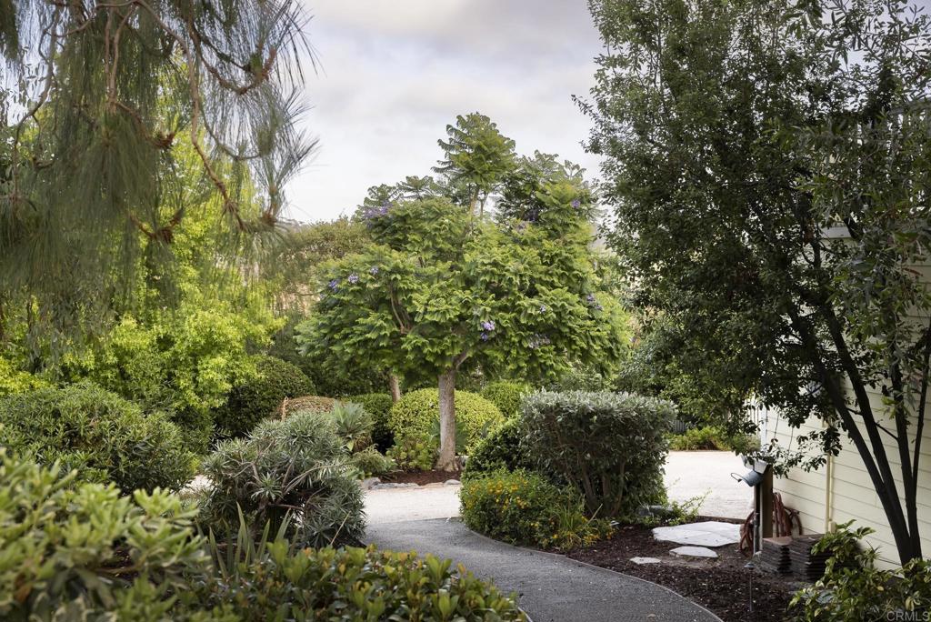 594 Rancho Santa Fe Road Encinitas, CA 92024 - Photo 7 of 47 a picture of trees