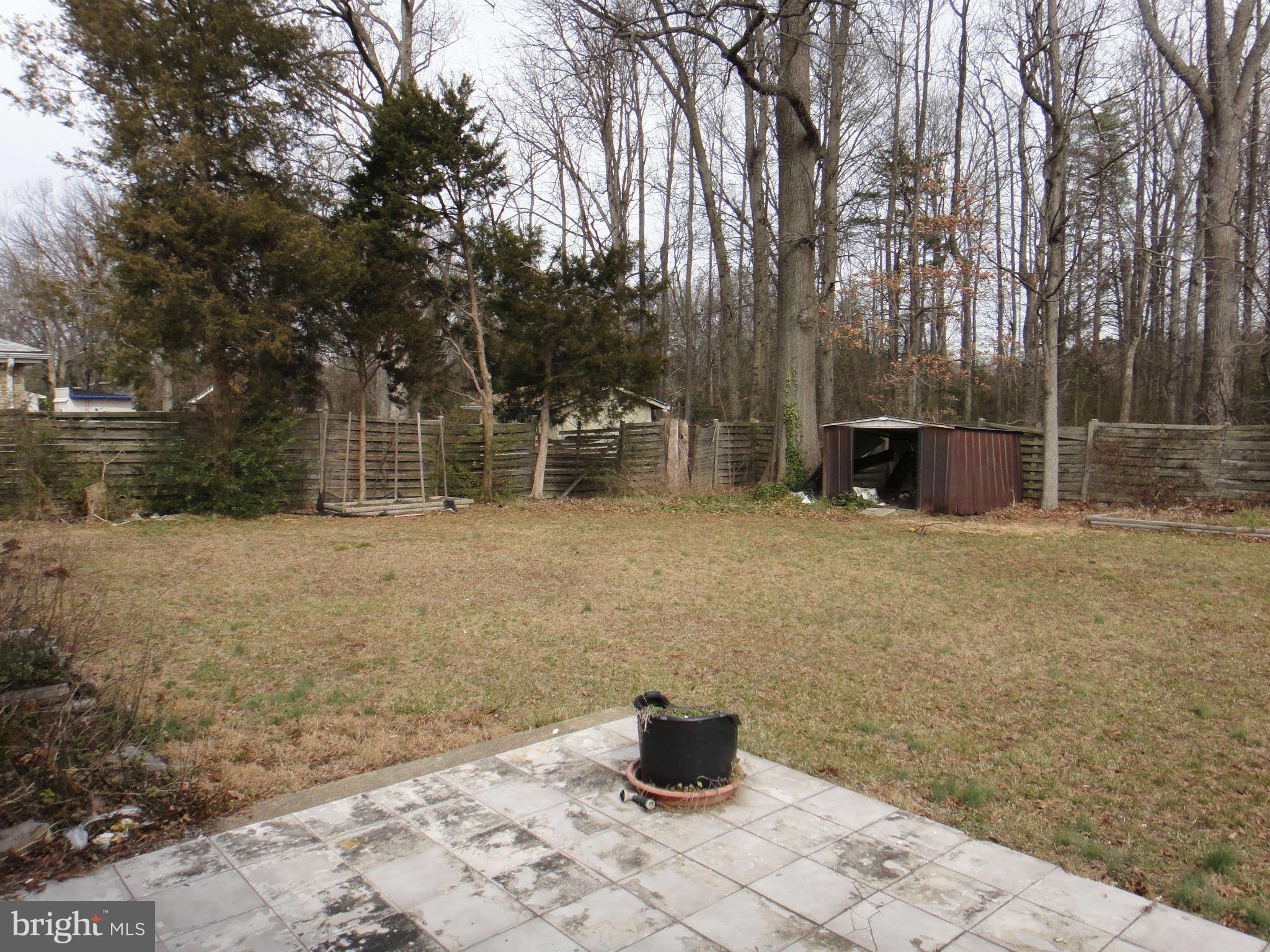 6221 Frontier Drive Springfield, VA 22150 - Photo 17 of 18 a backyard of a house with lots of trees