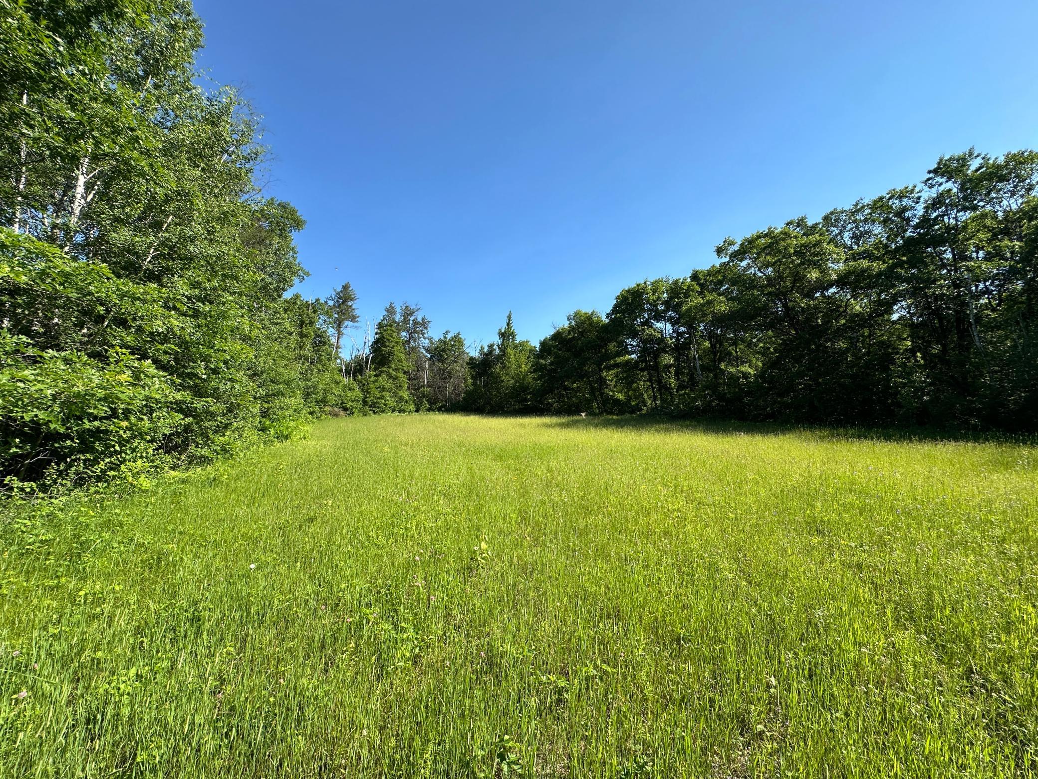 Tbd 205th Avenue Sebeka, MN 56477 - Photo 17 of 21