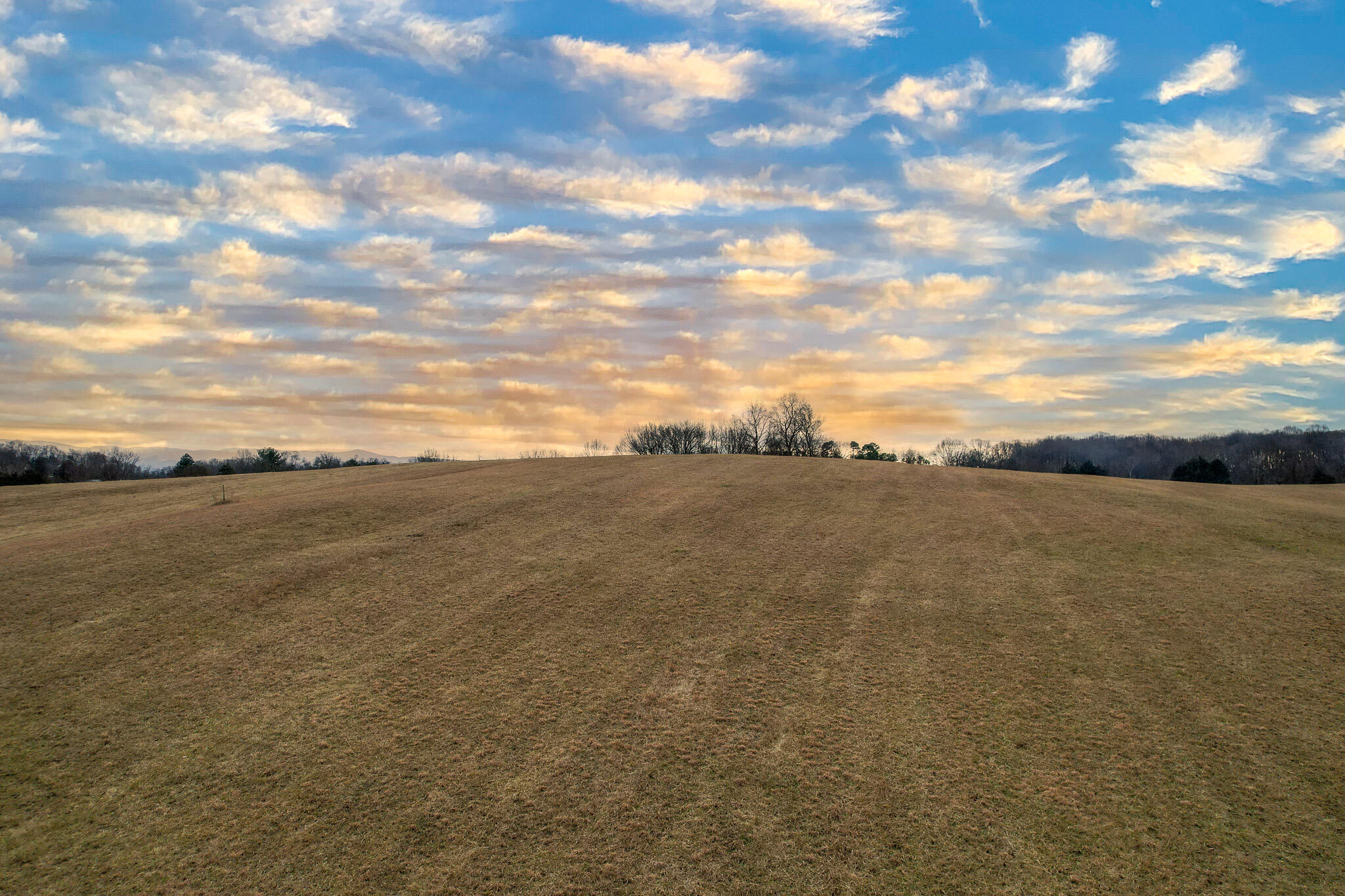 325 Walkertown Road Afton, TN 37616 - Photo 5 of 46 DJI_0947-Edit