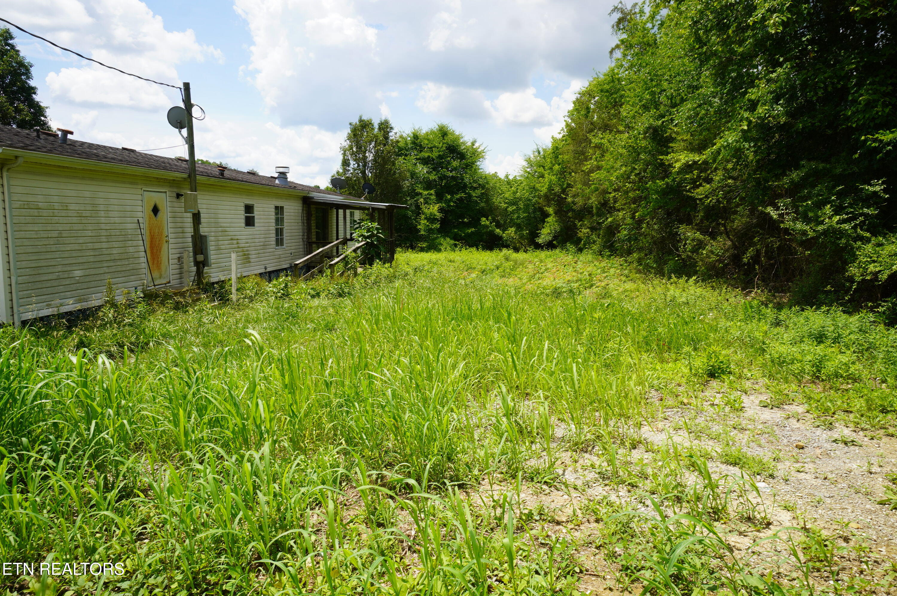 160 Kate Riley Lane Mohawk, TN 37810 - Photo 27 of 28 kate riley - nfb (10)