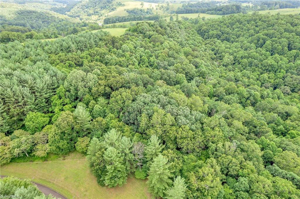 Tbd Olde River Clb Way Sparta, NC 28675 - Photo 12 of 40