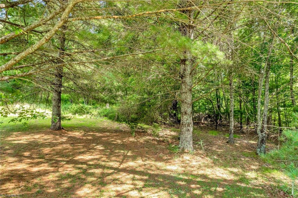 Tbd Olde River Clb Way Sparta, NC 28675 - Photo 18 of 40