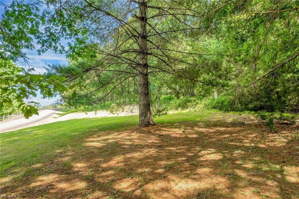 Tbd Olde River Clb Way Sparta, NC 28675 - Photo 19 of 40