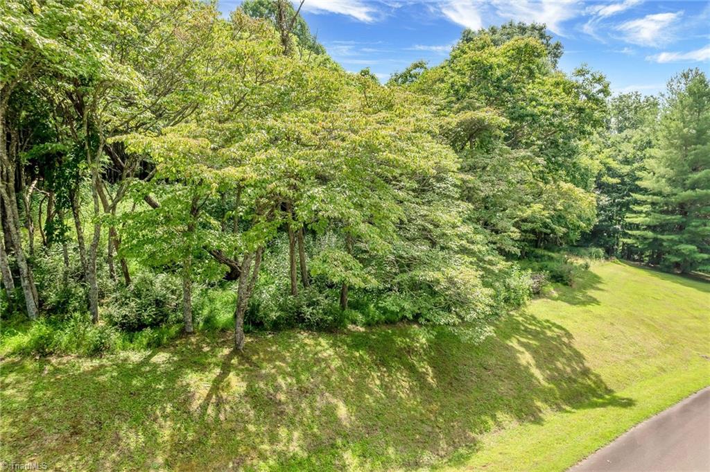 Tbd Olde River Clb Way Sparta, NC 28675 - Photo 9 of 40