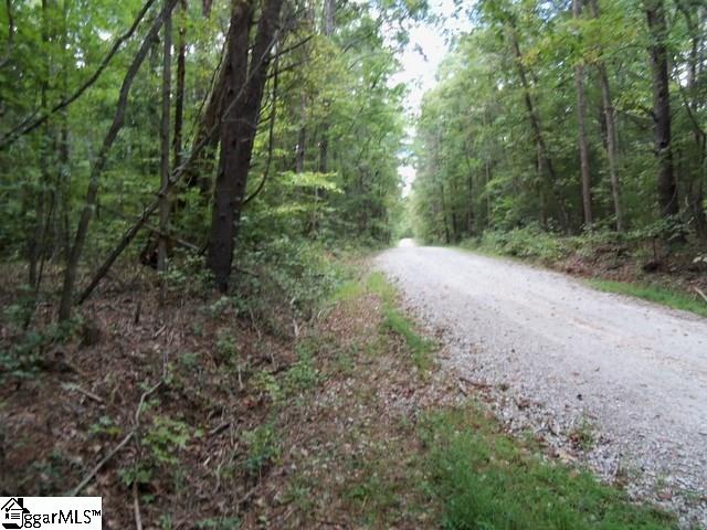 415 Twin Branch Road, Unit TRACT 3 Gray Court, SC 29645 - Photo 2 of 24 Gallery Image 2