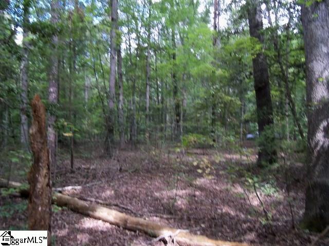 415 Twin Branch Road, Unit TRACT 3 Gray Court, SC 29645 - Photo 11 of 24 Gallery Image 11