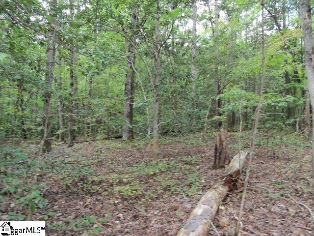 415 Twin Branch Road, Unit TRACT 3 Gray Court, SC 29645 - Photo 12 of 24 Gallery Image 12