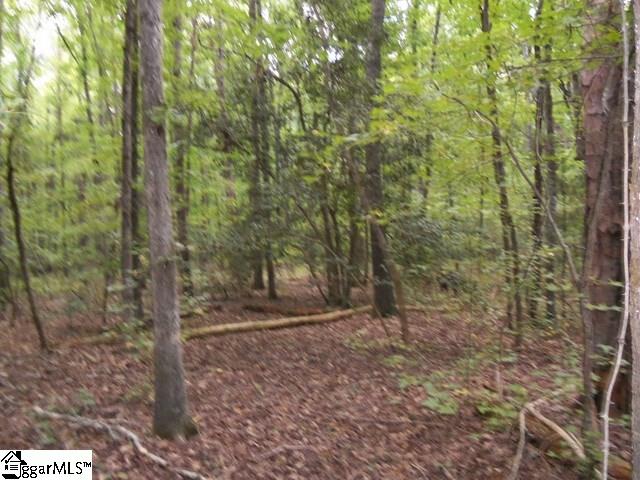 415 Twin Branch Road, Unit TRACT 3 Gray Court, SC 29645 - Photo 13 of 24 Gallery Image 13