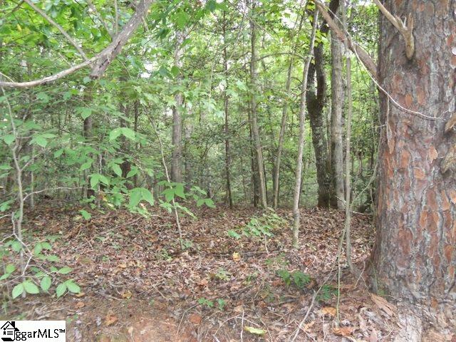415 Twin Branch Road, Unit TRACT 3 Gray Court, SC 29645 - Photo 15 of 24 Gallery Image 15
