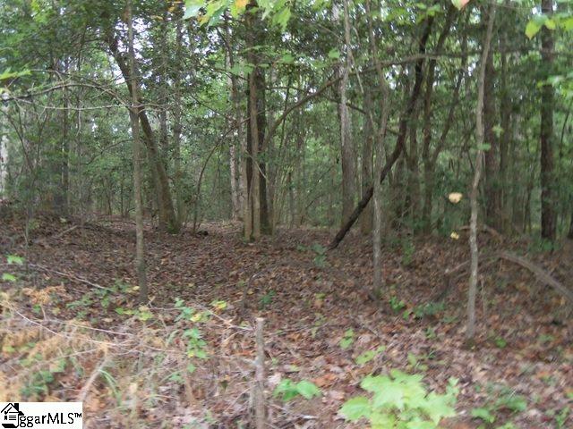 415 Twin Branch Road, Unit TRACT 3 Gray Court, SC 29645 - Photo 16 of 24 Gallery Image 16