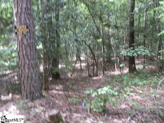 415 Twin Branch Road, Unit TRACT 3 Gray Court, SC 29645 - Photo 20 of 24 Gallery Image 20